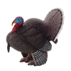 Mojo Truthuhn Männchen